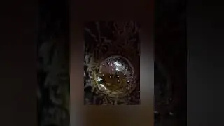 فنجانك اليوم 🤔👍💯💯 توقعات عامه بإذن الله 👍💯💯💯💯