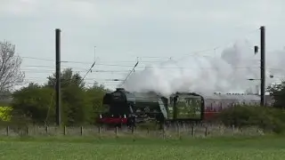 60103 'Flying Scotsman' Speeds Along The ECML - 14th May 2016