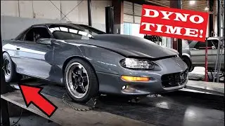Stroked Fbody Camaro SS, Boosted BMW M3, Cammed 5th gen Camaro SS, DYNO TIME! (with graphs)