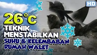 Teknik Dasar Menyejukan Dan Melembabkan Rumah Burung Walet Secara Ideal