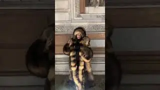 Huge fur coat