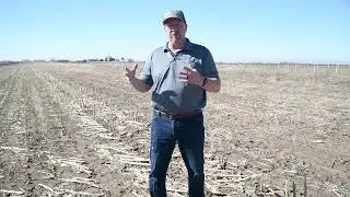 Proper preparation for planting your Double Team Sorghum field