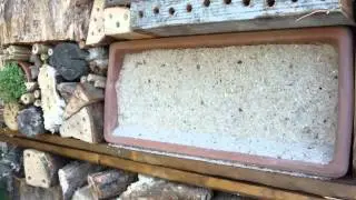 My homemade bee hotel