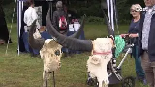 Bert Eeftink struint over de zomerfair van Laag Zuthem