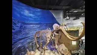 Royal Tyrrell Museum Drumheller AB Canada -Photographed by قناة كوكبنا