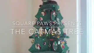 The Square Paws 