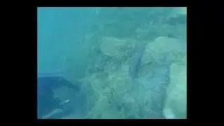 Die Tauchprofis tauchen im Salzgittersee