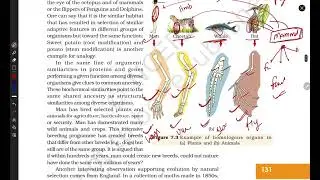 Class 12th Biology |Chapter 7|Divergent evolution ( Homologous ) |Convergent evolution ( Analogous )