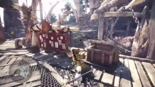 MHW HR700+ |Just doing random stuffs