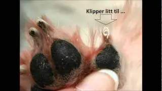 Kloklipp.wmv