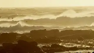 Joff Hale - Dreamtide (Official Visualizer)