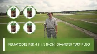 How to sample for Nematodes_New Tecnique