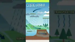 EASYWAY TO LEARN |WATER CYCLE #easy #class #trending #viral #viralvideo #mathsandscience #watercycle