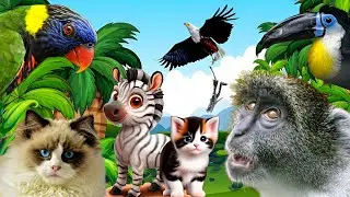 songs of the world animals | and wild birds & gorilla, wolf, wilddog, Redfox, possum, eagles