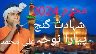 upBarabanki shahadat gan mohharam 2024 pyara noha bharma Diya Nabi ne vah insa Mera nahin Ali❤️❤️❤️