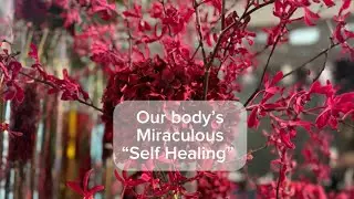 Our body&rsquo;s self healing ability explained with Tagalog/ Filipino  narration. Knowledge is power
