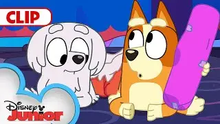 Bluey Season 3 Episode 13 