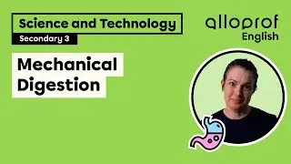 Mechanical Digestion | Science and Technology | Alloprof