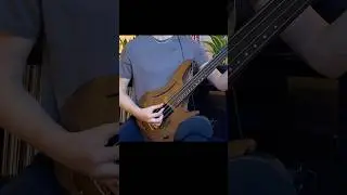 Fusion Fretless Bass Groove #shorts #fretless #fretlessbass