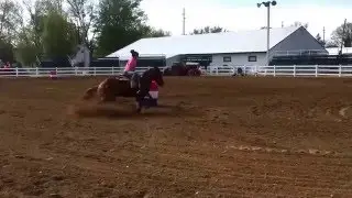 Warm ups snaffle. Shr breezes go money