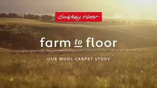Godfrey Hirst Farm to Floor - Our Wool Carpet Story