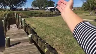 🔴 Через ГОЛОДНЫХ КРОКОДИЛОВ 🔴 Едем на запуск ракеты ИЛОНА МАСКА  Florida 5.12.2018