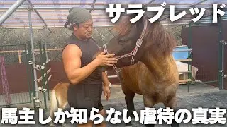 馬主しか知らない「サラブレッド虐待の真実」