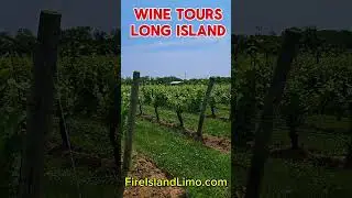 Fire Island Limo provides Long Island Wine Tours utilizing our Limos, Sprinters & Shuttle/Limo Buses