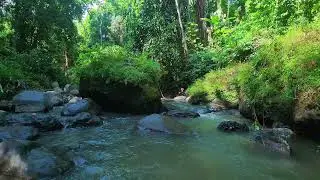 Relaxing River Sounds &ndash; Quarry Creek &mdash; clean audio, no insects.