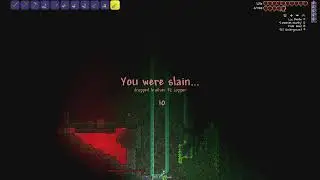 A Lac Beetle? Terraria