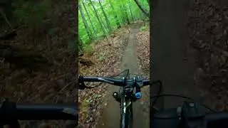 Black Bear trail Kingdom Trails VT