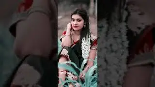 Ude vayani sango... new Gondi status for Whatsapp || full screen whatsapp Gondi status
