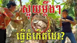 ស្អុយម្លឹងៗ ធ្វើនំកើតដែរ មើមដូចដំឡូង