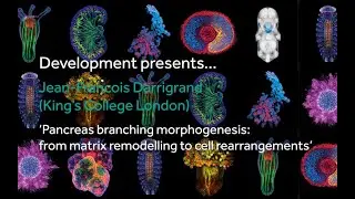 Development presents... Jean Francois Darrigrand
