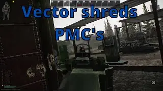 Escape From Tarkov | Vector shreds PMC's (kill compilation)
