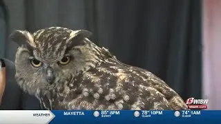 Great Overland Station hosts spellbinding event