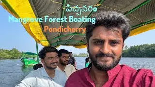 PONDICHERRY TOURIST PLACES I PONDICHERRY MANGROVE FOREST |#mangroveforest #mangrove #pondicherry