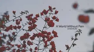 A World Without Pain by DYATHON