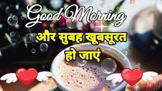 Good Morning Video💘shayari quotes wallpaper 🥰 New whatsapp status facebook msg greetings Romantic ❤