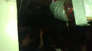 Haggus live temple of mur mur 07132018 part1