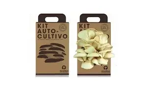 Kit Autocultivo Setas - Regalos originales
