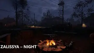 STALKER 2 &ndash; Campfire Ambience in Zalissya | Evening to Morning (No Commentary)
