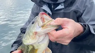Hard Truths About Wintertime Jerkbait Fishing&hellip;