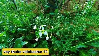 New Golpo:- ভয় থেকে ভালোবাসা_( part:-14 )_voy thake valobasha - Nila Apu♥️