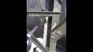 Lead paint removal environmentally friendly