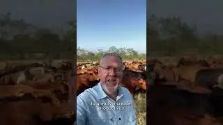 Transform Your Ranch with Total Grazing Academy!