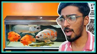 I Added New MONSTER Fish in My Monster Fish Tank 😱