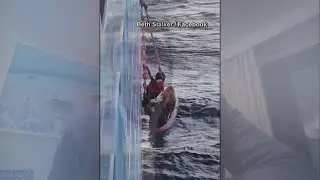 Crew members on cruise ship save 2 men stranded on kayak