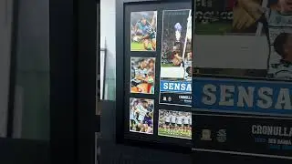 🦈 Up, Up Cronulla!