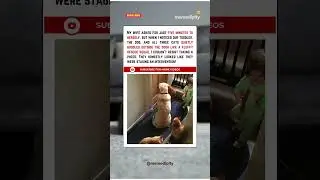 My wife asked for just five minutes to herself, but when I noticed our toddler, the dog, and cats